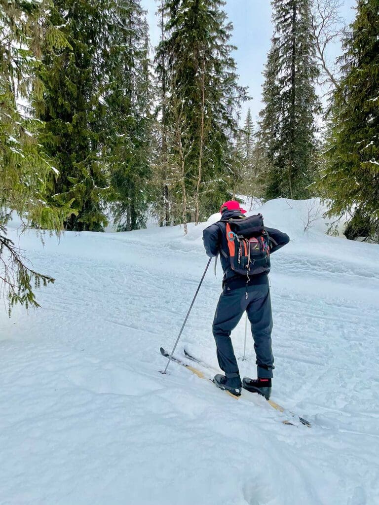 Vemdalen turskidor