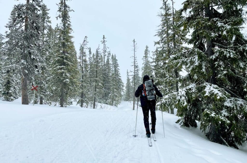 Vemdalen turskidor