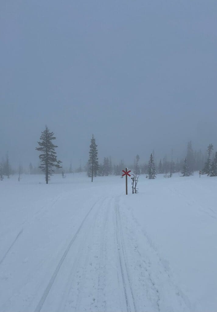 Vemdalen turskidor