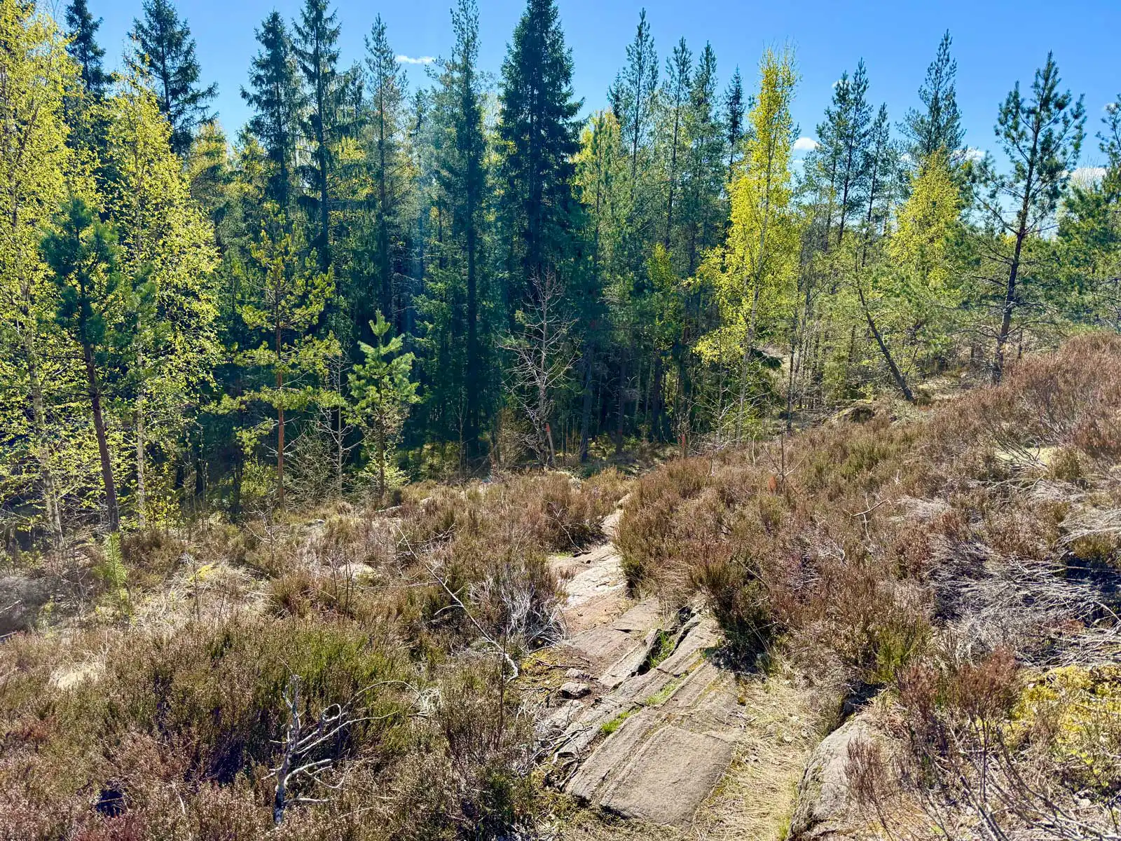 Kycklingleden i Grums kommun