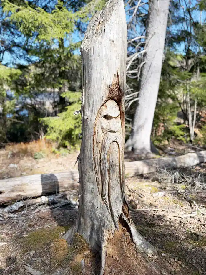 Kycklingleden i Grums kommun